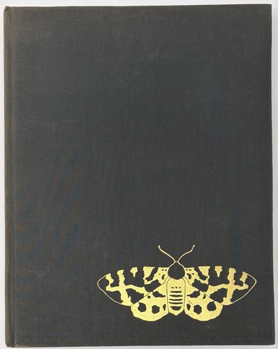 Die schonsten nachtfalter - schonsten,