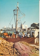 Carte postale 10cmX15cm AUDE PORT LA NOUVELLE pêcheur filets de pêche écrite