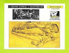 Fiche Edito service S.A. - 1990 - Grand animal de Maëstricht