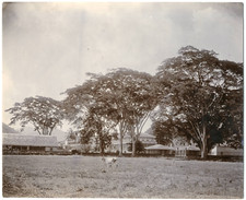 Trinidad Vintage  print Tirage