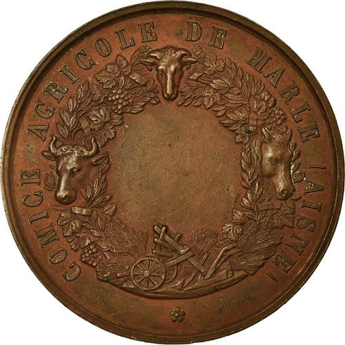 France médaille comice - france,, médaille,