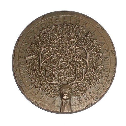 Médaille bronze concours - médaille,