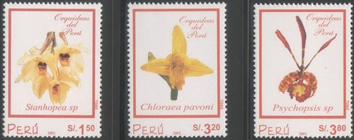 Peru 2002