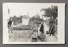 CARTE PHOTO  JARDINIER Potager