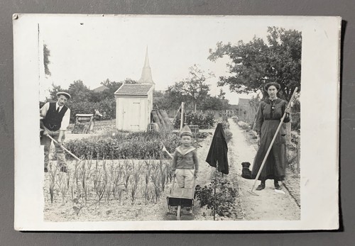 Carte photo jardinier potager - photo,