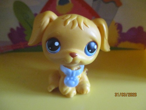 Petshop chien golden - golden, retriever