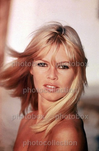Brigitte bardot exclusive - brigitte,