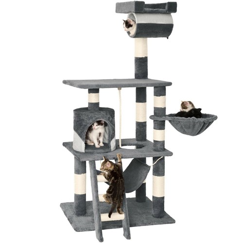 Arbre chat griffoir - chat,