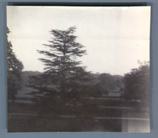 UK, Weston Village  Vintage