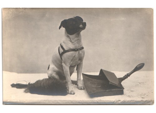 Rppc ancienne carte photo - carte,