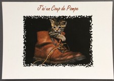 Carte postale Humoristique- J'ai un Coup de Pompe  (377)