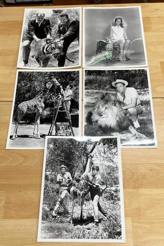 Daktari 5 photos - (1966),