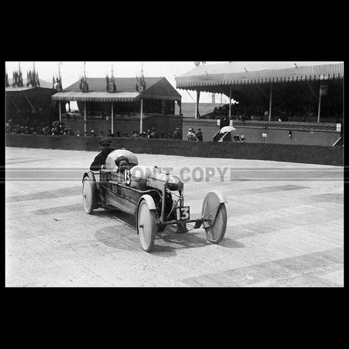 Photo 031380 bedelia b1 - photo,