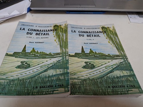 Connaissance bétail en - connaissance,