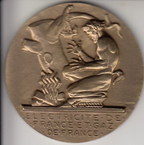 Medaille professionnelle - professionnelle,
