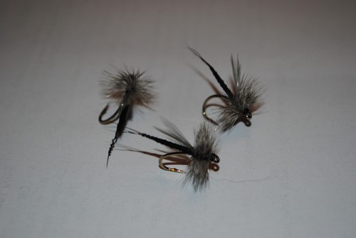Flies extended body grey - flies,