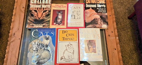 Lot cat books - 7,