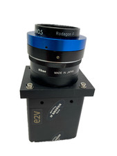 DIVINA EV50YLM1GE4010-BA0