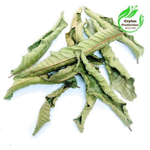 Feuilles goyave - goyave,