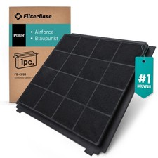 Filtre à charbon actif pour