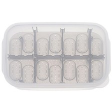  Incubateur D'oeufs De Tortue
