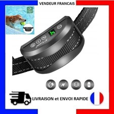 Collier anti aboiement - anti-aboiement, chien