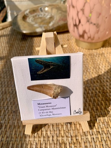 Mini art display - mini, –