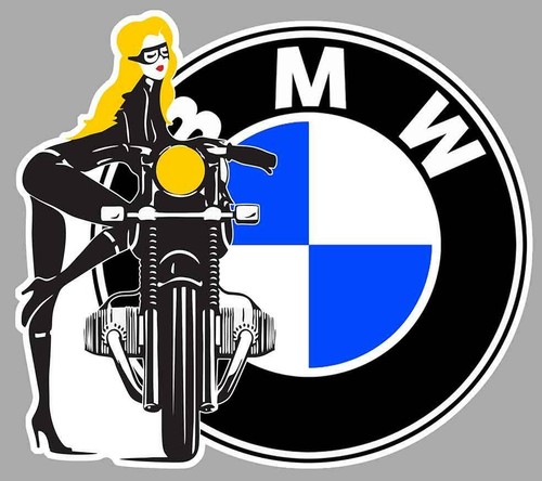Bmw left pin - moto, gauche
