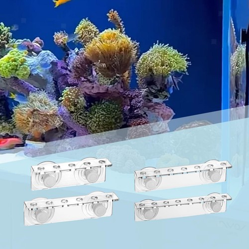 Support pour corail aquarium - support,