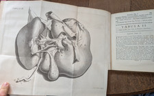 Livre ancien joan - livre, baptistae