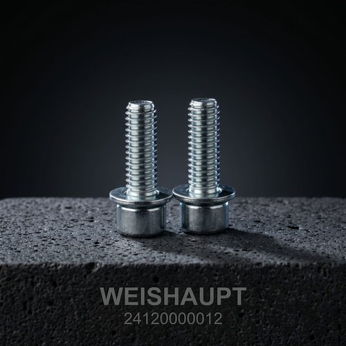 Weishaupt 24120000012 - ,