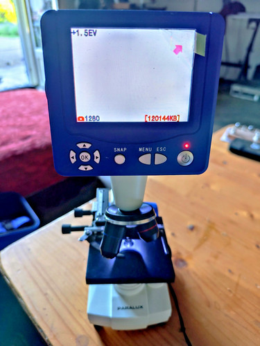 Paralux digital microscope - paralux,