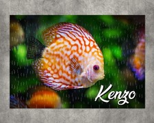 Puzzle Poisson Discus personnalisé avec prénom