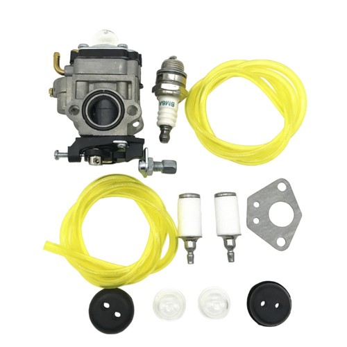 Ensemble carburateur pour