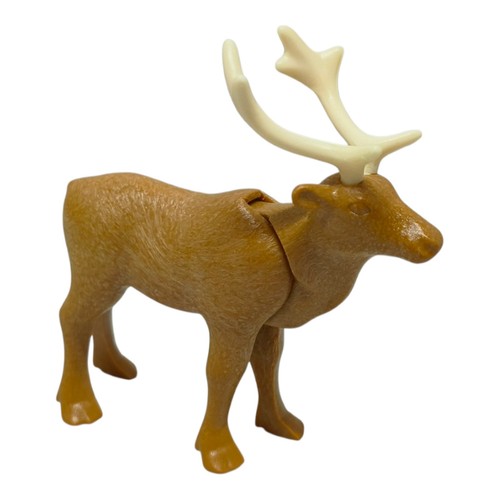 Sympa renne caribou - /,