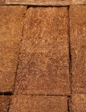 Plaque en Xaxim 50 cm - Terrarium -