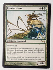 Essaim vivant Living Hive