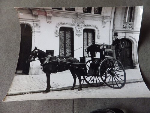 Photo chevaux l - , attelage