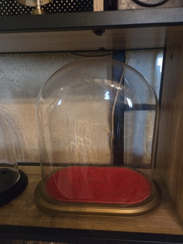 Cloche decoree globe mariee - decoree,