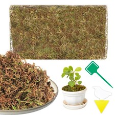200g Sphaigne pour Plante