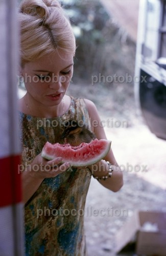 Brigitte bardot exclusive - bardot,