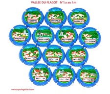 Série de 13 Capsules de Champagne VALLEE DU FLAGOT  N°1.a