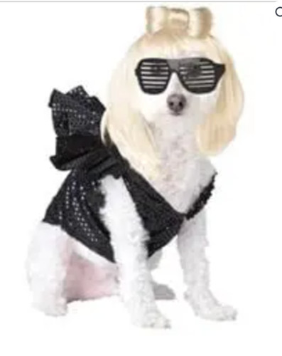 Pop sensation dog costume - dog,
