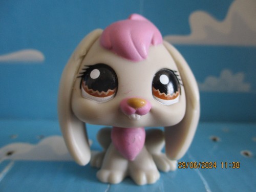 Petshop lapin belier - lapin,