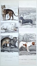 2 gravures originales 1850