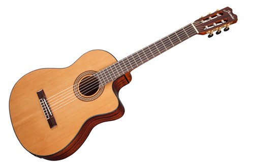 Takamine jasmine - takamine,