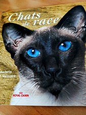 Chats de race - DRS BARLERIN