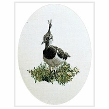   Kit point de croix  Vanneau huppé 1026  Thea Gouverneur  Lin  