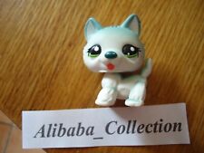 ** # dog chien husky 1563  **