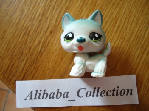 Dog chien husky 1563 - husky,